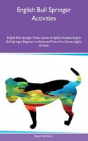 English Bull Springer Activities English Bull Springer Tricks, Games & Agility Includes: English Bull Springer Beginner to Advanced Tricks, Fun Games, Agility & More