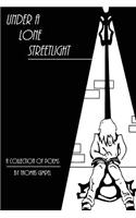 Under a lone streetlight