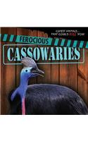 Ferocious Cassowaries