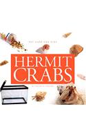 Hermit Crabs