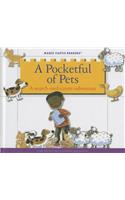 A Pocketful of Pets: A Search-And-Count Adventure(Magic Castle Readers)