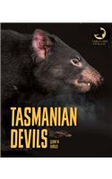 Tasmanian Devils