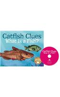 Catfish Clues
