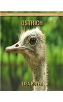 Ostrich