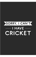 Sorry I Can't I Have Cricket
