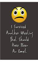 I Survived Another Meeting That Should Have Been An Email.: Stunning Funny Boss Gifts Ruled Paper Notebook Journal - Cute Work Gifts For Coworker Blank Lined Workbook For Employees Boss Women Men Lawyers Stud