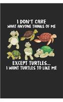 I don't care what anyone thinks of me Except turtles... I want turtles to like me