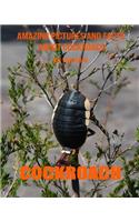 Cockroach