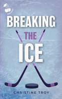 Breaking the Ice