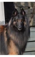 Belgian Shepherd Dog Journal