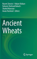 Ancient Wheats