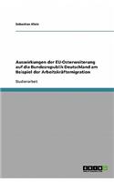 Auswirkungen der EU-Osterweiterung auf die Bundesrepublik Deutschland am Beispiel der Arbeitskräftemigration