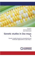 Genetic Studies in Zea Mays L