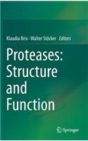 Proteases: Structure and Function