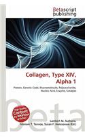 Collagen, Type XIV, Alpha 1