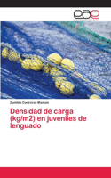 Densidad de carga (kg/m2) en juveniles de lenguado
