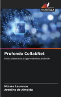 Profondo CollabNet