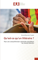 Qu'est-ce qu'un littéraire ?