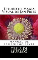 Estudo de Magia Visual de Jan Fries