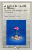 La Banca de Fomento En Mexico: Experiencias de Ingenieria Financiera(Nueva Cultura Economica)