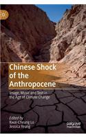 Chinese Shock of the Anthropocene