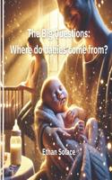 The Big Questions: Where do babies come from?(Big Questions)