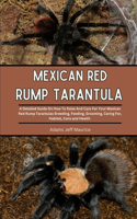 Mexican Red Rump Tarantula