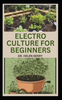 Electro Culture for Beginners