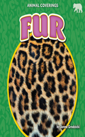 Fur