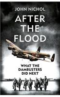 After the Flood: What the Dambusters Did Next