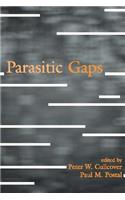 Parasitic Gaps