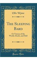 The Sleeping Bard: Or Visions of the World, Death, and Hell (Classic Reprint)