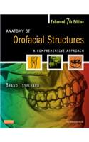 Anatomy of Orofacial Structures - Enhanced Edition: A Comprehensive Approach: A Comprehensive Approach