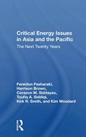 Critical Energy Issues in Asia and the Pacific