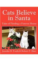 Cats Believe in Santa: Tales of Finding a Forever Home