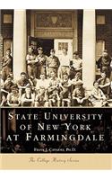 State University of New York Farmingdale