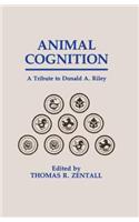 Animal Cognition