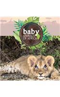 Baby Animals of Africa