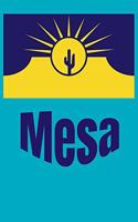 Mesa Arizona City Flag Journal Notebook