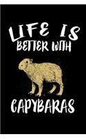 Life Is Better With Capybaras