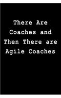 There Are Coaches and Then There Are Agile Coaches