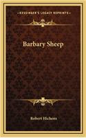 Barbary Sheep