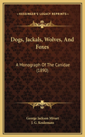 Dogs, Jackals, Wolves, And Foxes