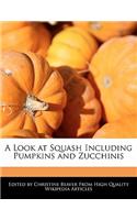 A Look at Squash Including Pumpkins and Zucchinis