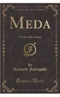 Meda: A Tale of the Future (Classic Reprint)