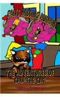 Adventures of Cali the Cat, Cali's Missing Human