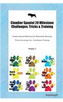 Clumber Spaniel 20 Milestone Challenges: Tricks & Training Clumber Spaniel Milestones for Memorable Moments, Tricks, Grooming, Care, Socialization Training Volume 2