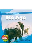 Ice Age