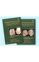 Netter Collection of Medical Illustrations: Nervous System Package