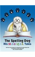 Webster The Spelling Dog